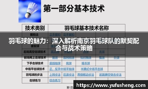 羽毛球的魅力：深入解析南京羽毛球队的默契配合与战术策略